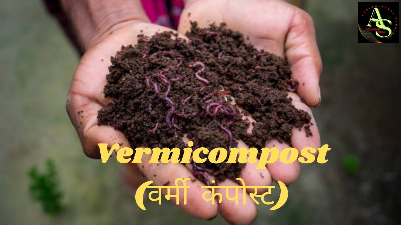 ➡️ वर्मी कम्पोस्ट क्या है? बनाने की विधि, फायदे, उपयोग और बिजनेस प्लान | Vermicompost Guide in Hindi