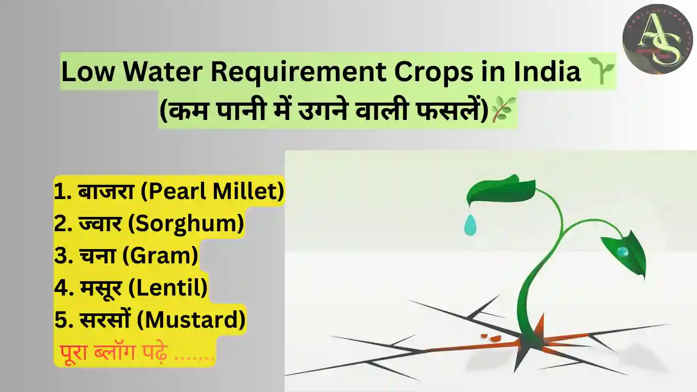 🌱 कम पानी में कौन-सी फसलें उगाएँ? | Low Water Requirement Crops in India