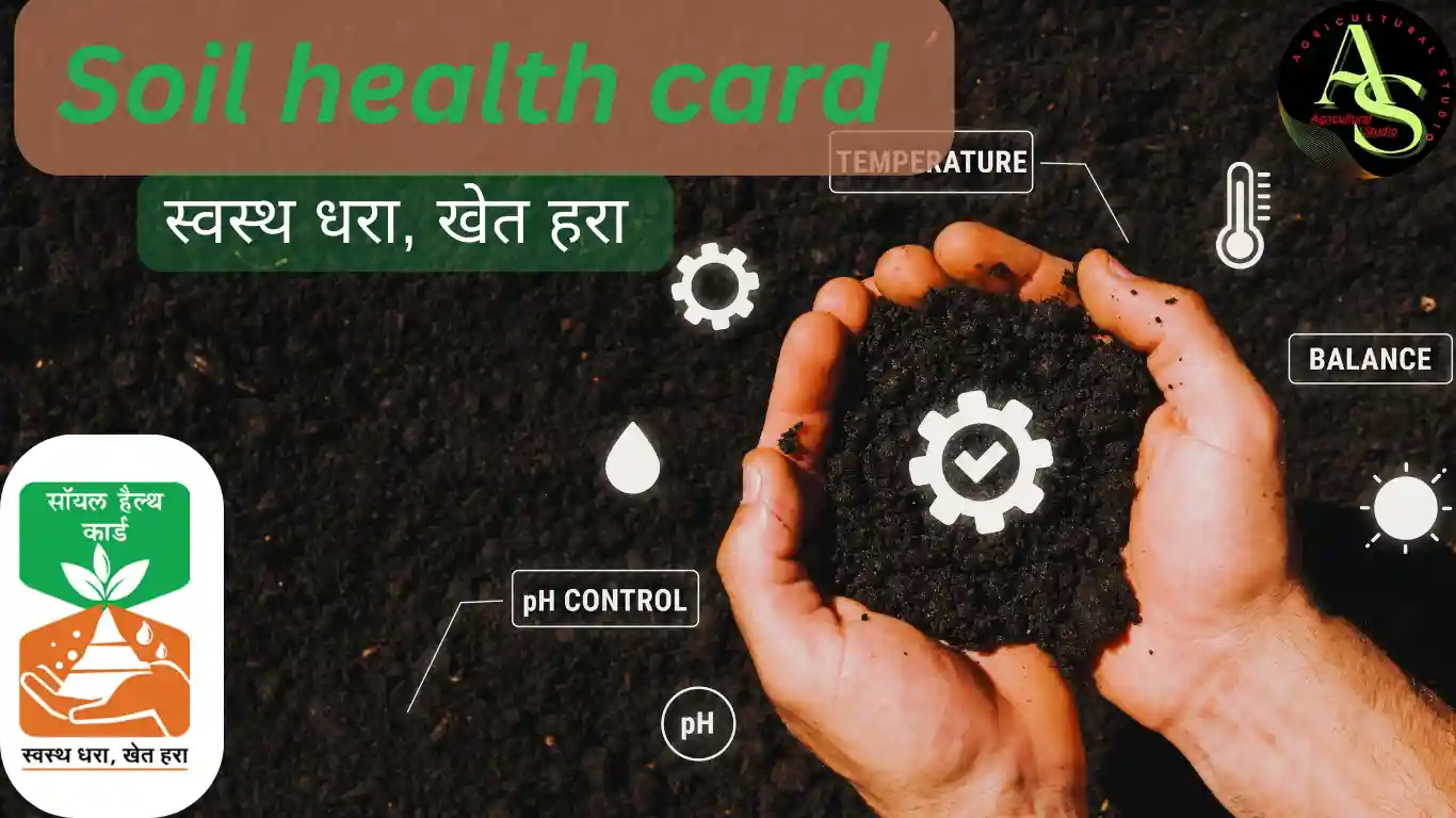 🌱 Soil Health Card (मृदा स्वास्थ्य कार्ड) 2025 क्या है और कैसे बनवाएं? | पूरा गाइड