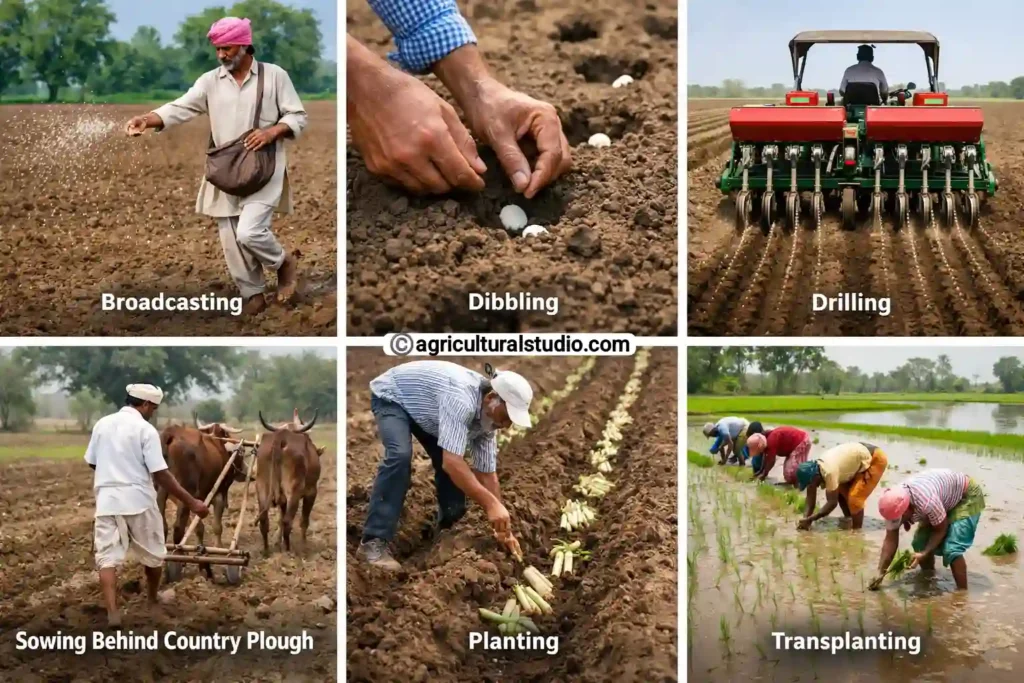 Seed and sowing methods 