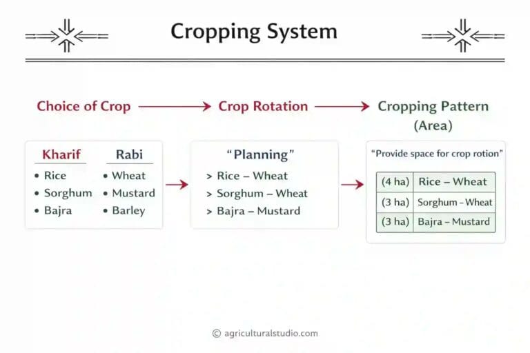 Suitable Cropping Pattern Examples Cropping Pattern And Cropping System: Definition, Types (PDF Notes)