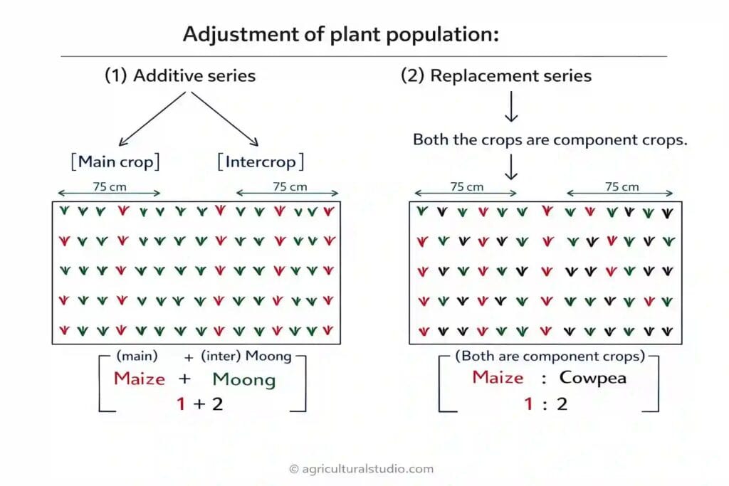 Cropping-pattern-and-cropping-system adjustment of plant population in intercropping 