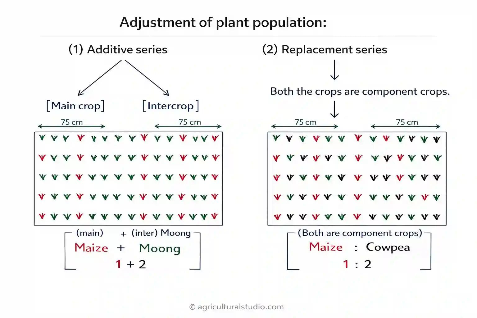 Cropping Pattern And Cropping System: Definition, Types (PDF Notes)