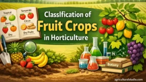Classification of Fruit Crops in Horticulture– Simple and Exam-Oriented Guide