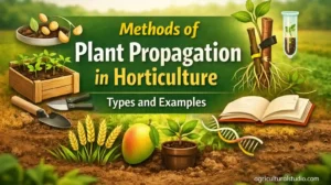 Methods of Plant Propagation – Sexual & Asexual