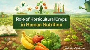 Importance/Role of Horticultural Crops in Human Nutrition